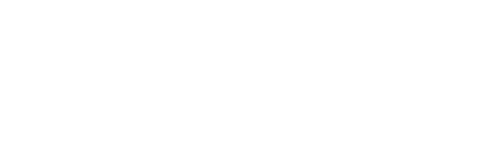 Nixcer Logo